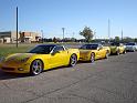 The Walsh stable of Corvettes